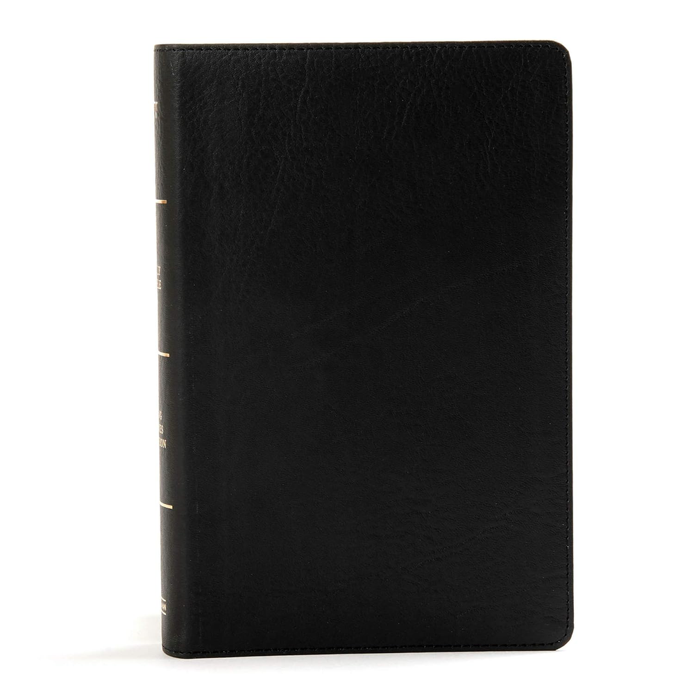 KJV Large Print Reference Bible, Black Leathertouch, Red Letter, Easy Read