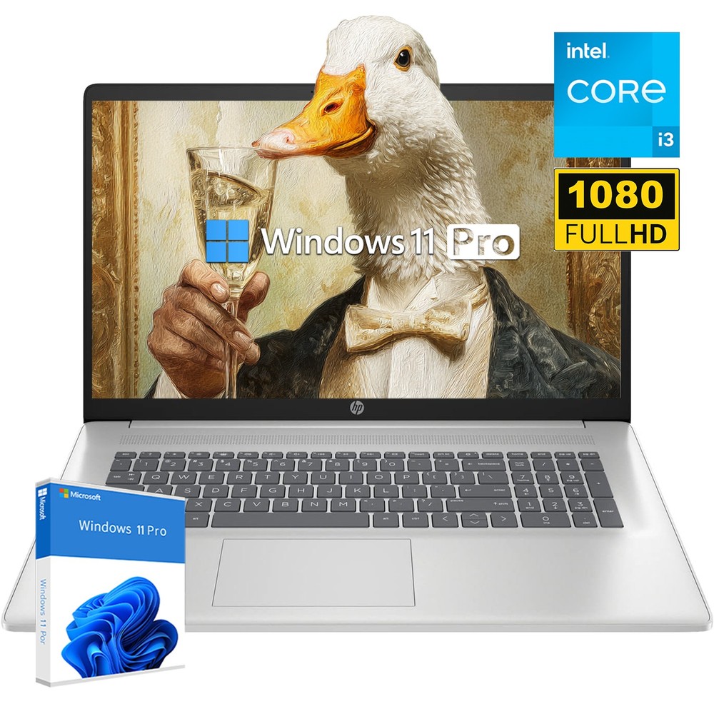 HP Business Laptop 17.3