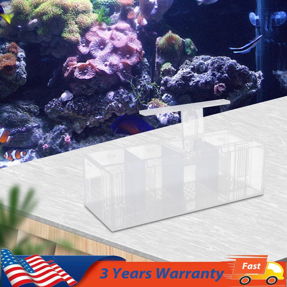 Aquaponic Fish Tank 4-Grid Desktop Fish Tank Rectangle Acrylic Betta Fish Tank