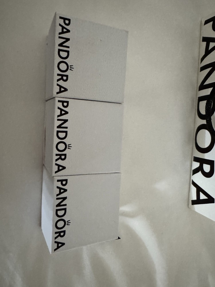 Pandora Empty Charm Bead Storage Box for Jewelry Organizing