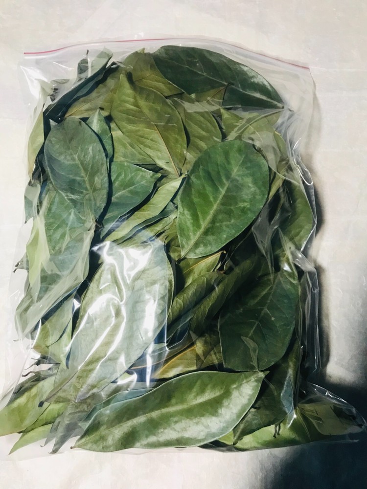 Organic Soursop Leaf Natural Herbal Ceylon Tea Guanabana Graviola Annona Muricat