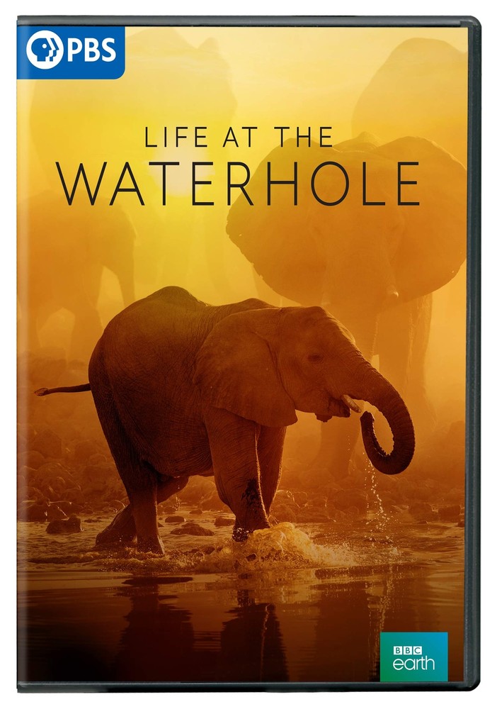 Life at the Waterhole (DVD)