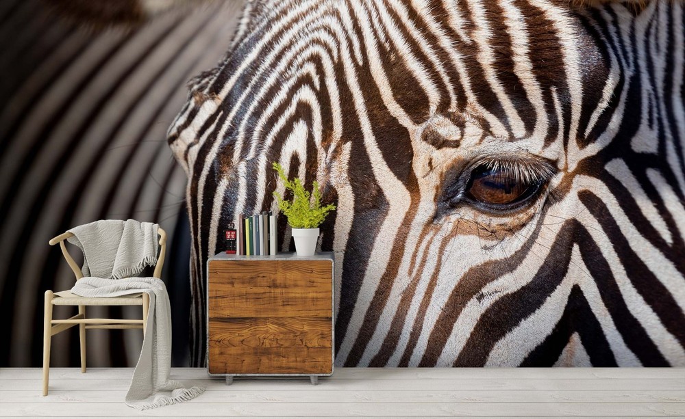 3D Zebra Animal Close-up Wall Murals Wallpaper Murals Wall Sticker