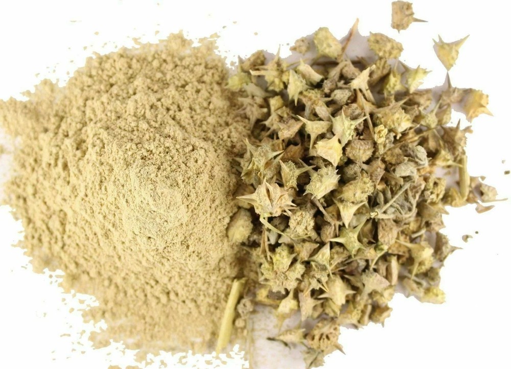 ORGANIC GOKHRU GOKSHURA Tribulus Terrestris POWDER Untreated FREE SHIP