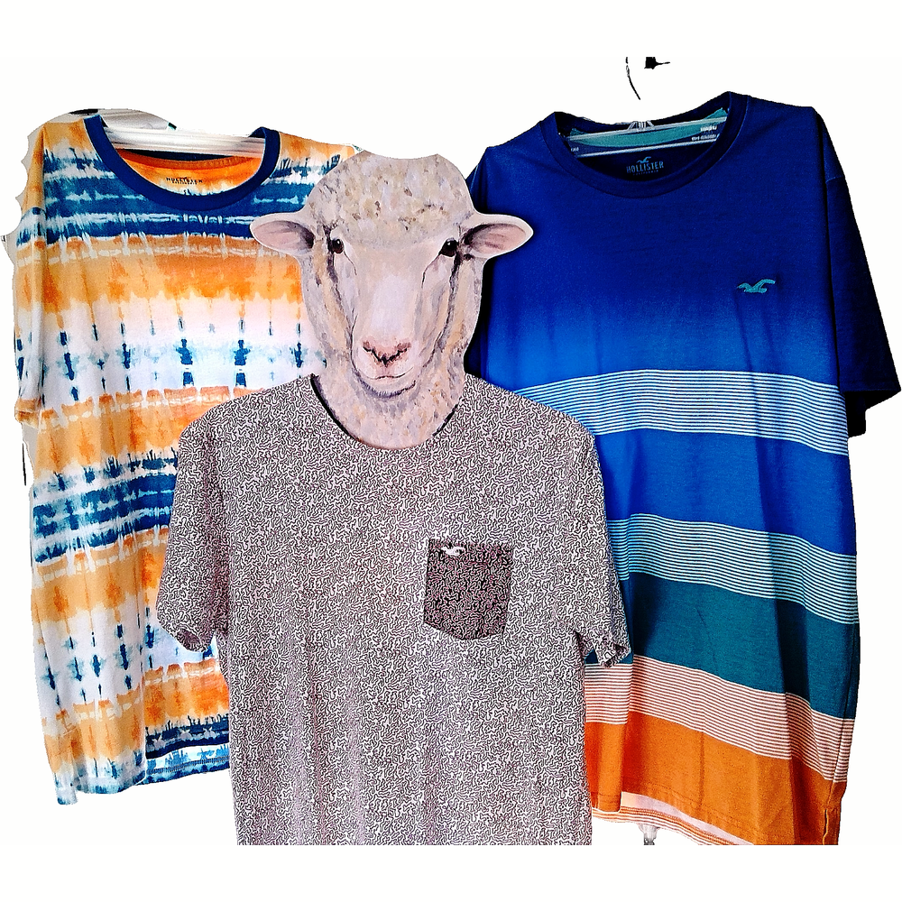 Hollister Size Small Back to School T-Shirt Bundle of 3-image