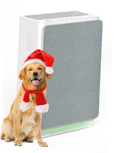 Air Purifiers for Home Large Room Up to 3000 ft²,  H13 True HEPA Air Purifier