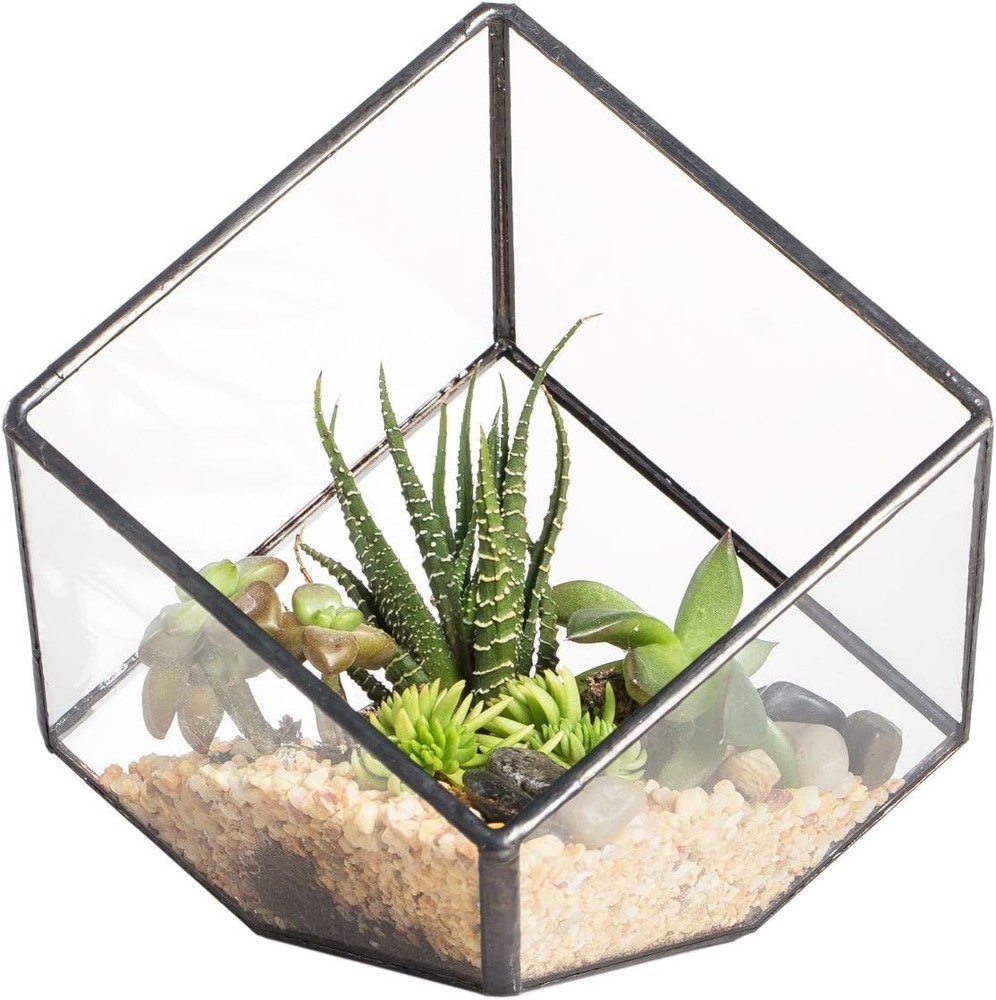 Geometric Inclined Glass Terrarium Planter for Succulents and Plants