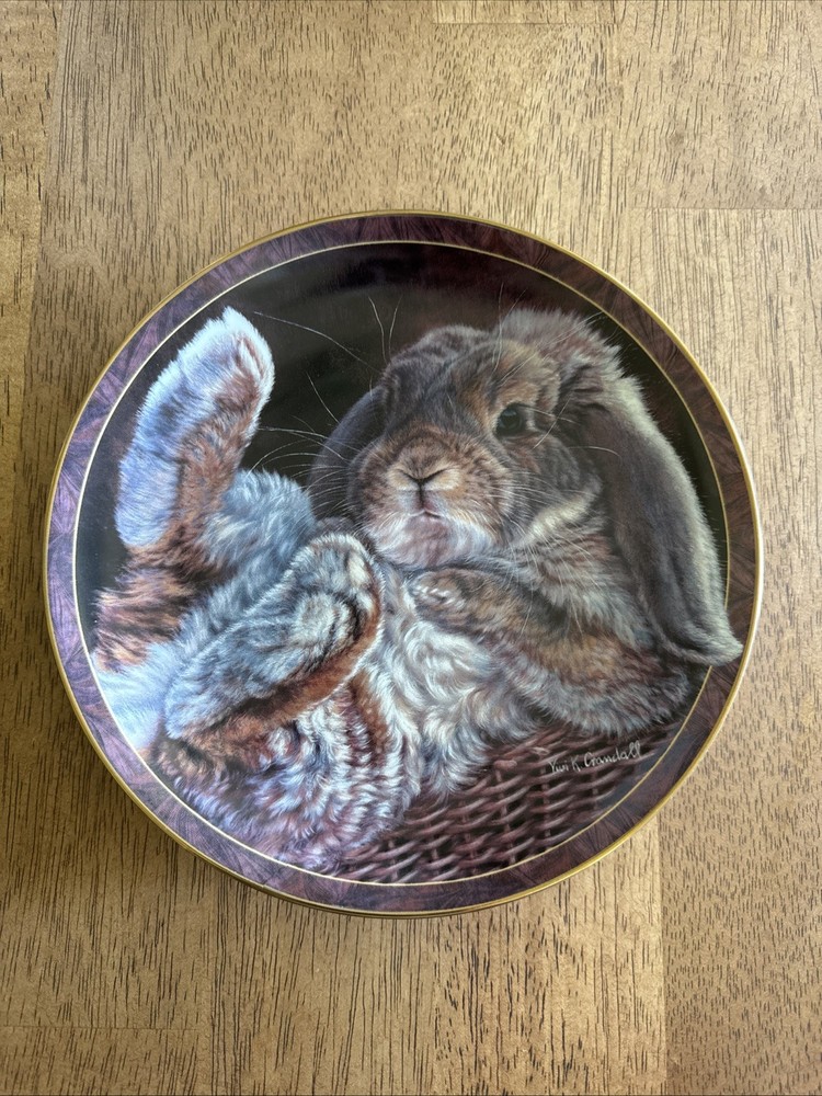 Vivi Crandall Bunny Tales “Footloose” Collector Plate Bradford Exchange