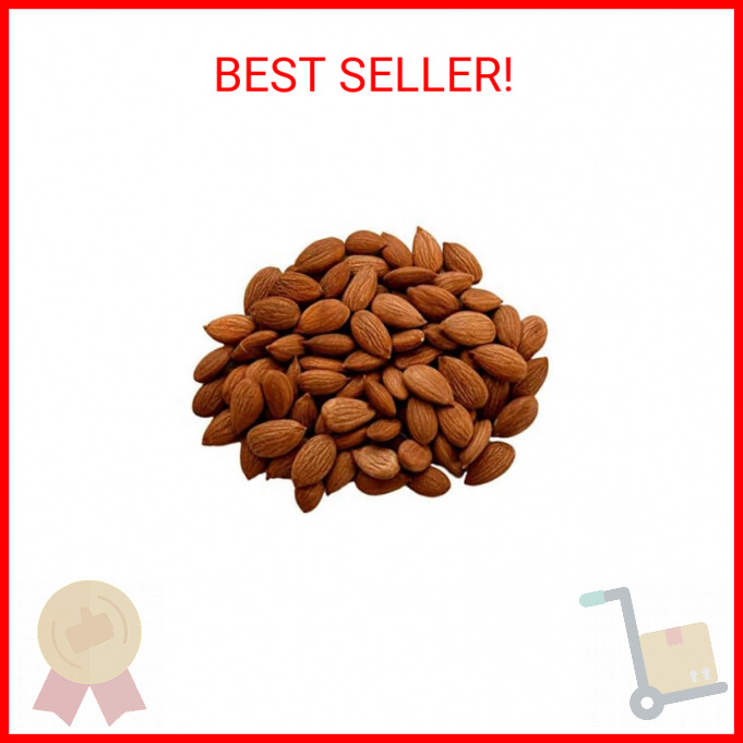 NUTS U.S. - Sweet Raw Apricot Kernels (Seeds) | Unpasteurized and Non-GMO | No S