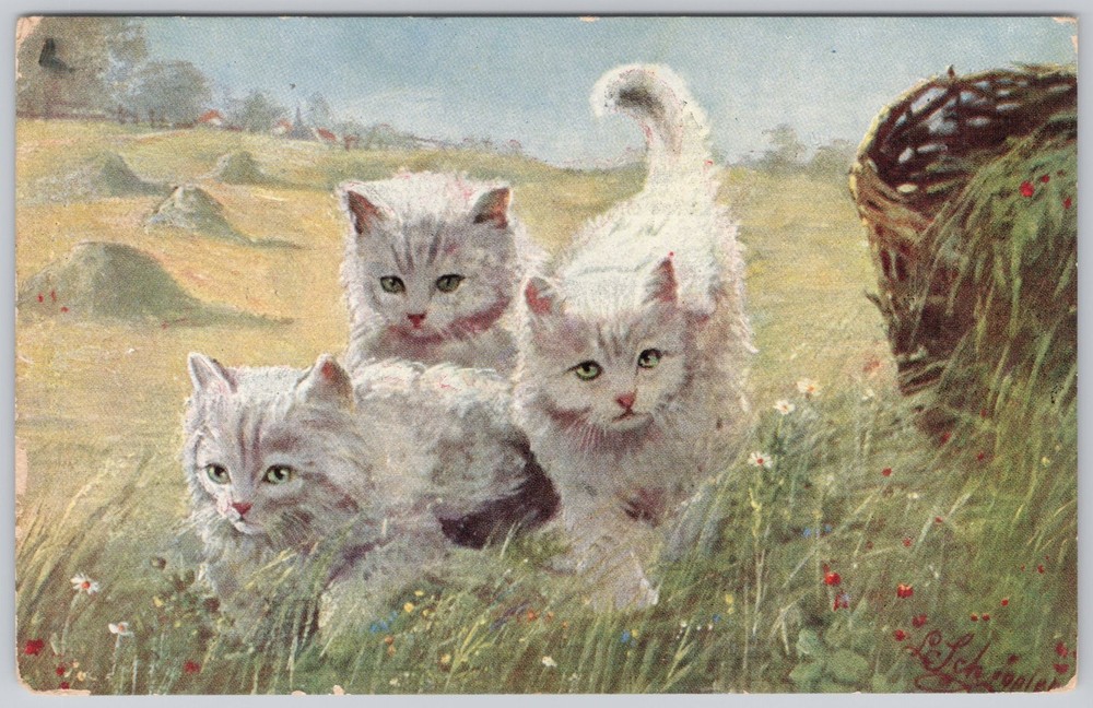 Cute Kitten Cat Animal Art Antique Postcard Divided Back VTG