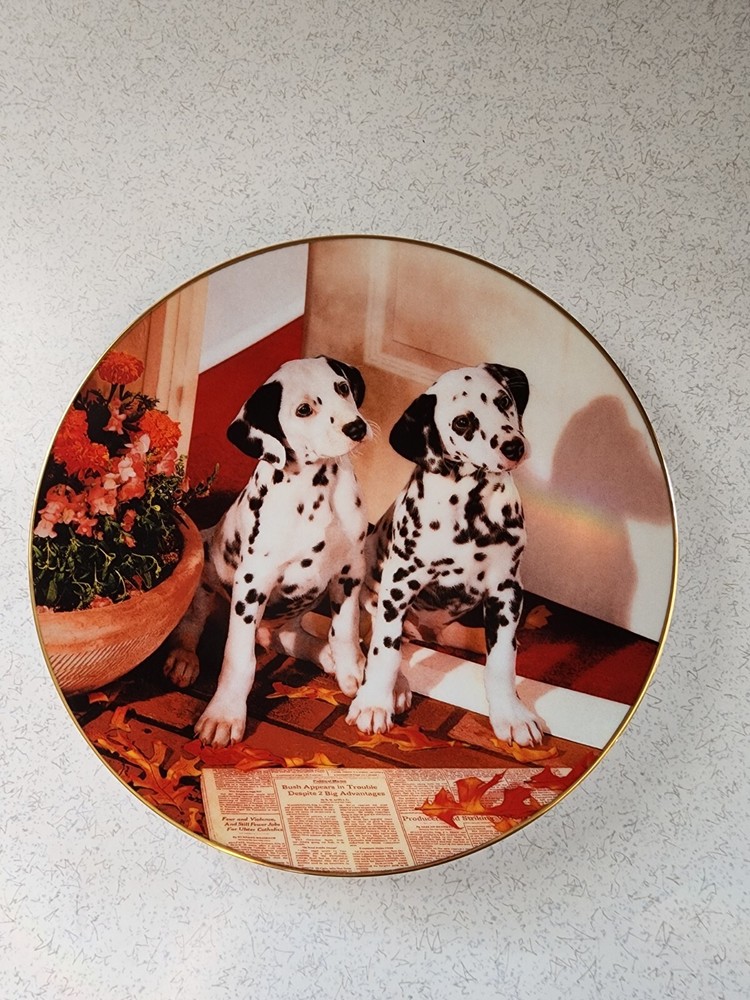 Vintage The Hamilton Collection Dalmatian Plate “Spotted In The Headlines” 1995