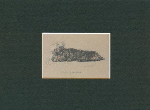 Wirehaired Dachshund - CUSTOM MATTED - Dog Art Print Gift - Dawson CLEARANCE