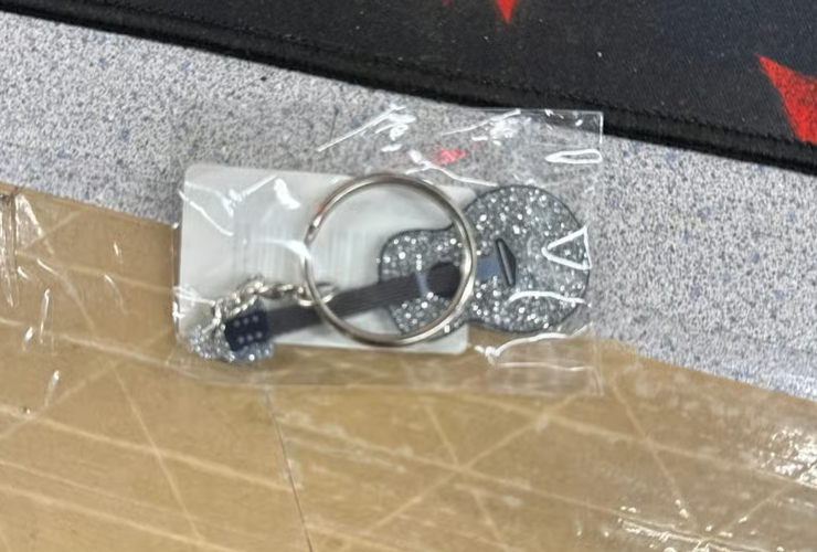 Taylor Swift Speak Now Guitar Keychain with Lyrics