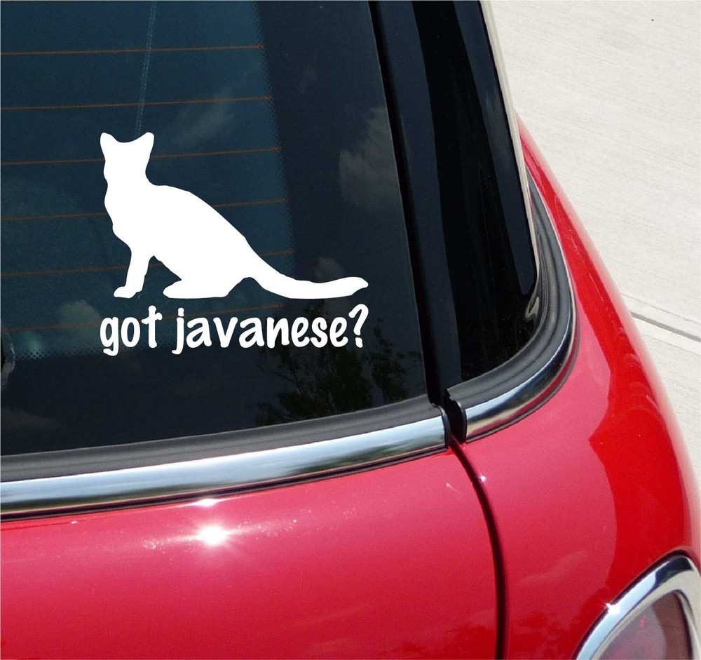 GOT JAVANESE? CAT GRAPHIC DECAL STICKER ART CAR WALL DECOR