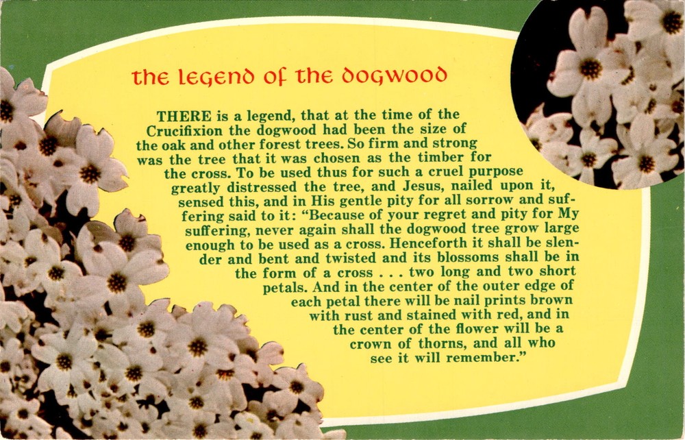 Dogwood and Oak Forest Trees with Jesus Cross Crucifixion Richmond Postcard