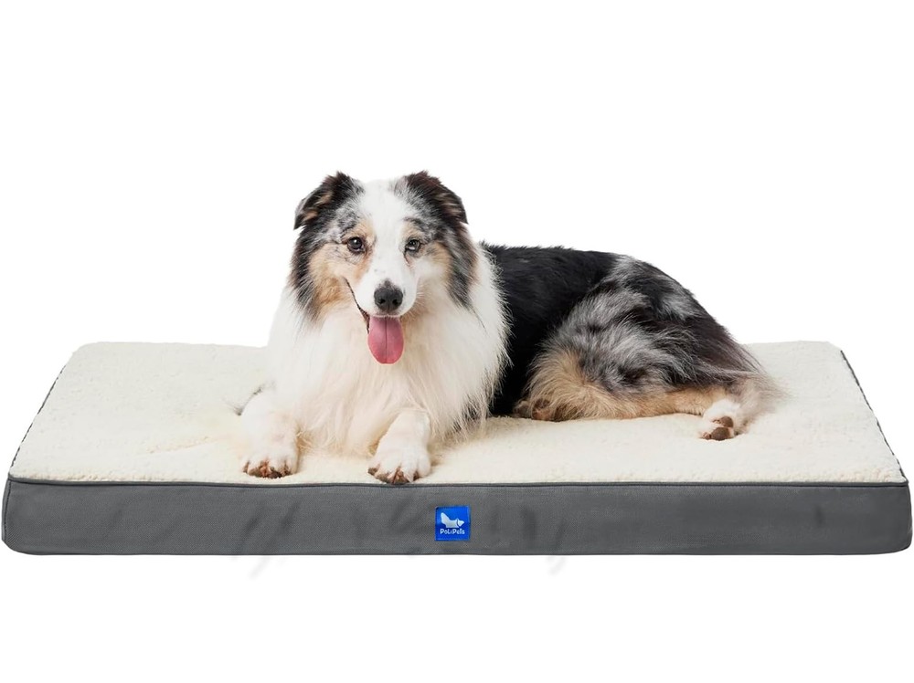 Orthopedic Dog Bed, Memory Foam Reversible Side, Washable Removable Cover