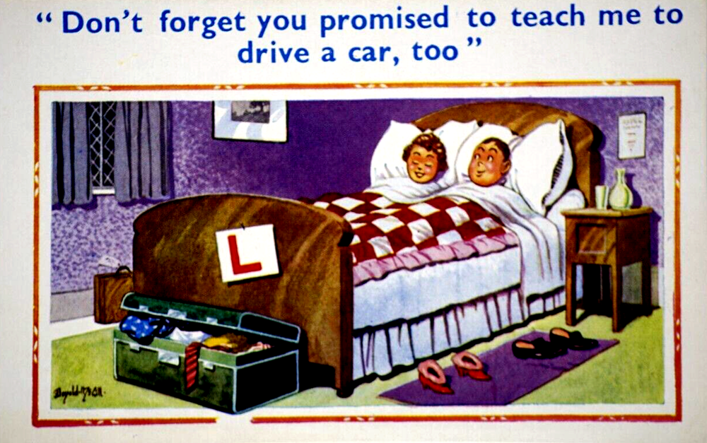 Postcard Seaside Comic Saucy Risqué Driving Lessons Constance Donald McGill 1637