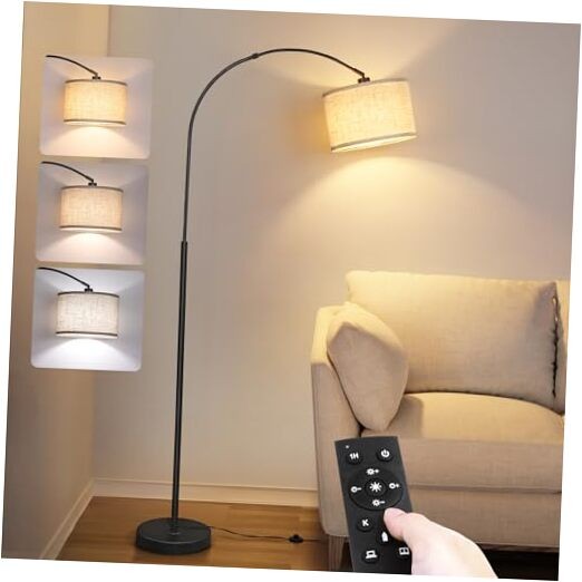 Modern Black Arc Floor Lamp with Remote for Living Room  