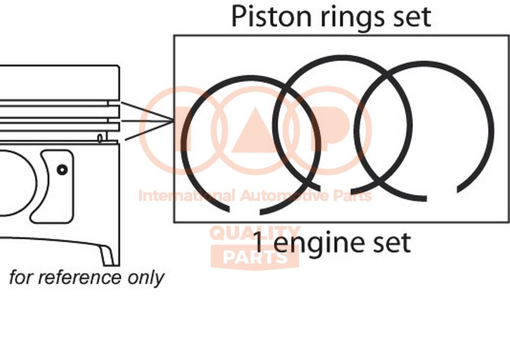 102-17194 IAP QUALITY PARTS Elastic Band Kit for Toyota Lexus