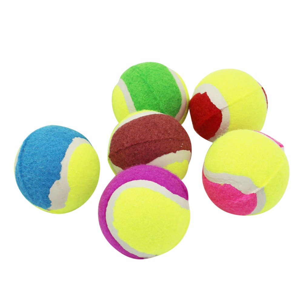 6 Pack Tennis Ball Dog Toys for Medium Dogs and Puppies
