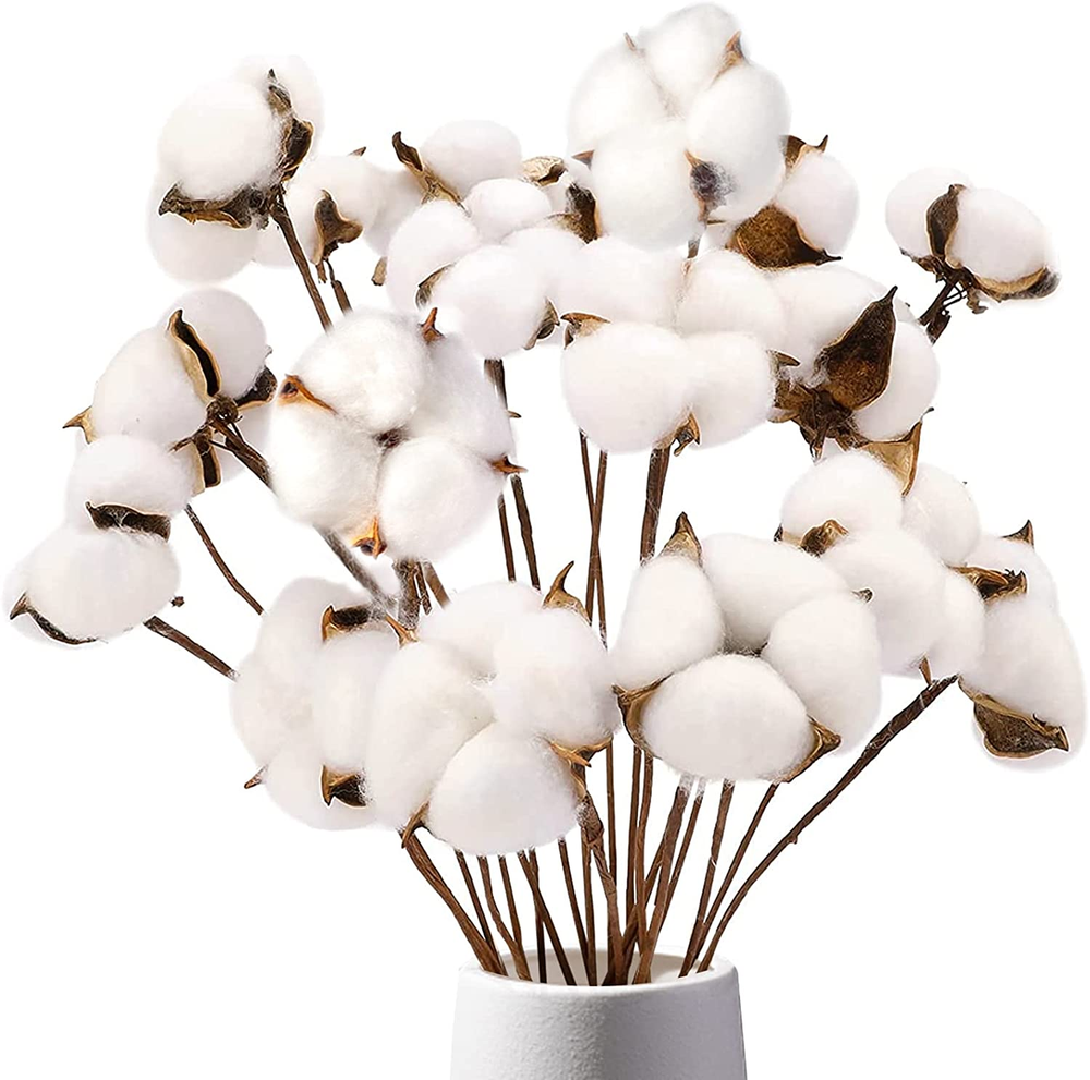 Natural Dried Cotton Stems 8 Pack with 15 Bolls for Vase Decor