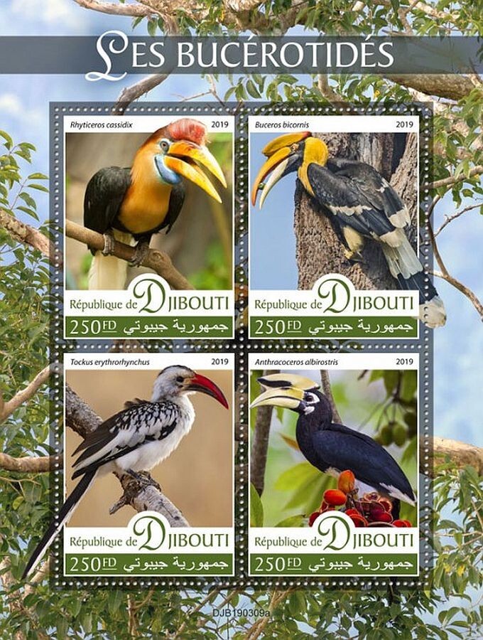 HORNBILLS 4-Value MNH Bird/Birds Stamp Sheet #155 (2019 Djibouti)