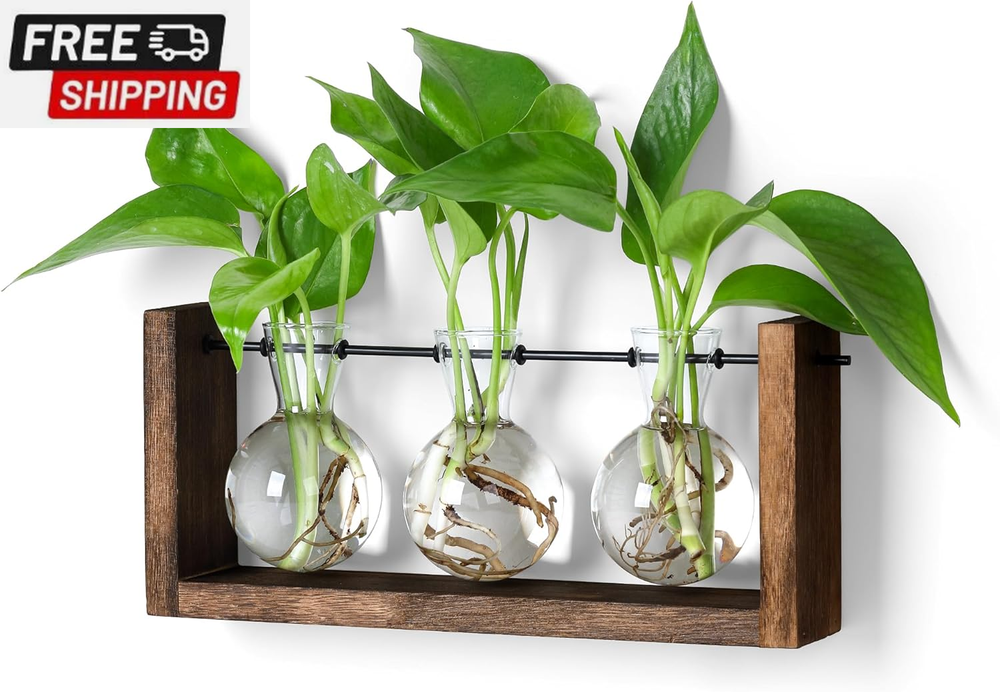 Plants Propagation Stations,Plant Terrarium with Wooden Stand Wall Hanging Glass