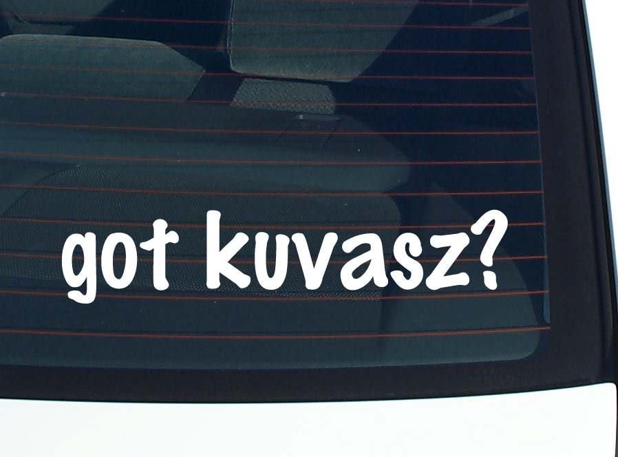 got kuvasz? CAR DECAL BUMPER STICKER VINYL FUNNY JOKE WINDOW