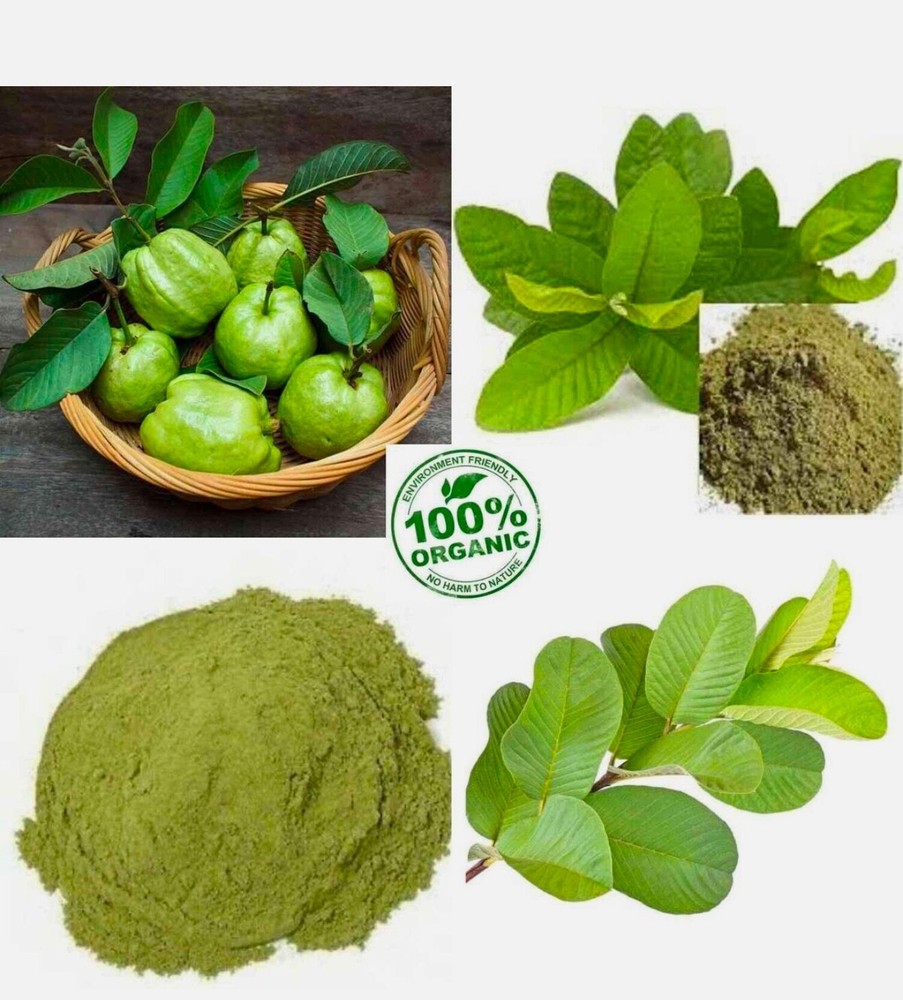 Dried Guava Leaf Powder pure For Herbal Tea and Skin 100gm