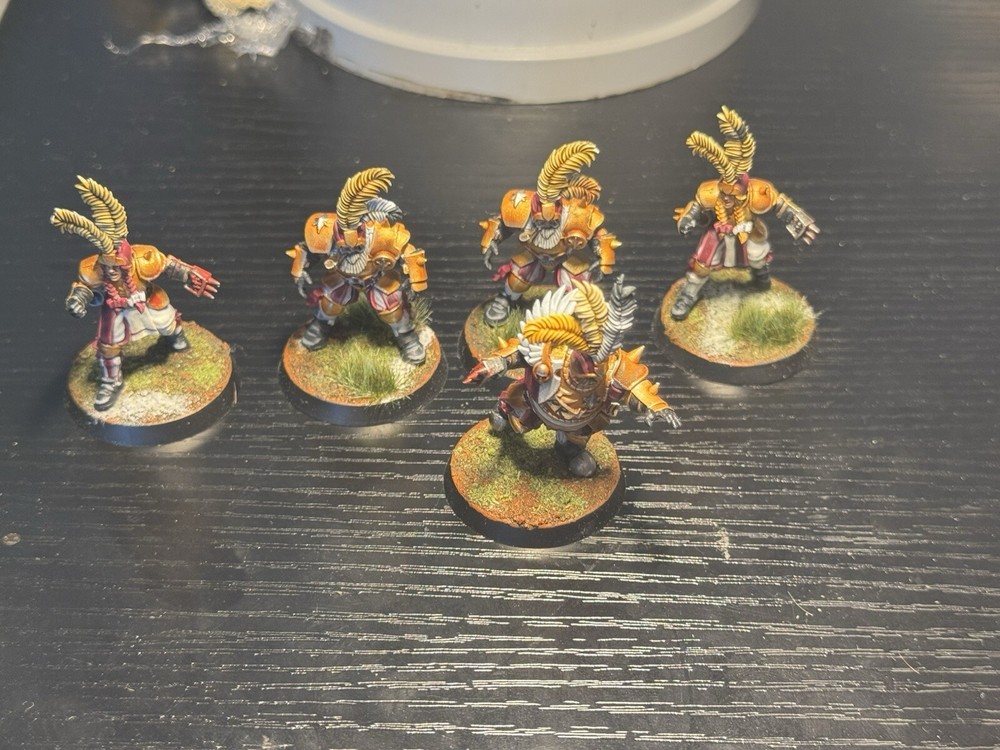 Blood Bowl Imperial Nobles Pro Painted