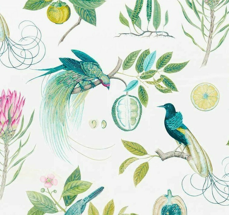 SANDERSON CURTAIN FABRIC DESIGN Paradesia 3.9 METRES BOTANICAL GREEN 100% COTTON