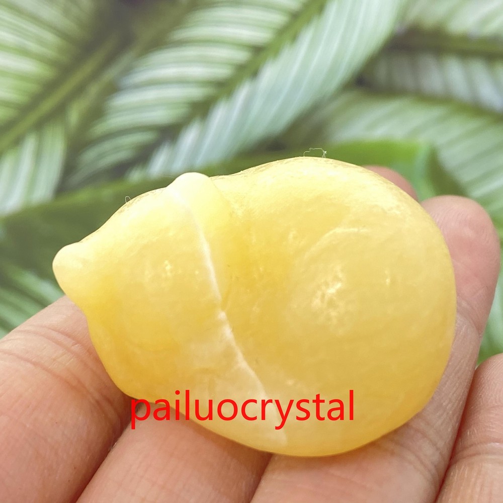 1pc Natural Geode Cat Skull Quartz Crystal Skull Carved Figurines Healing 1.5