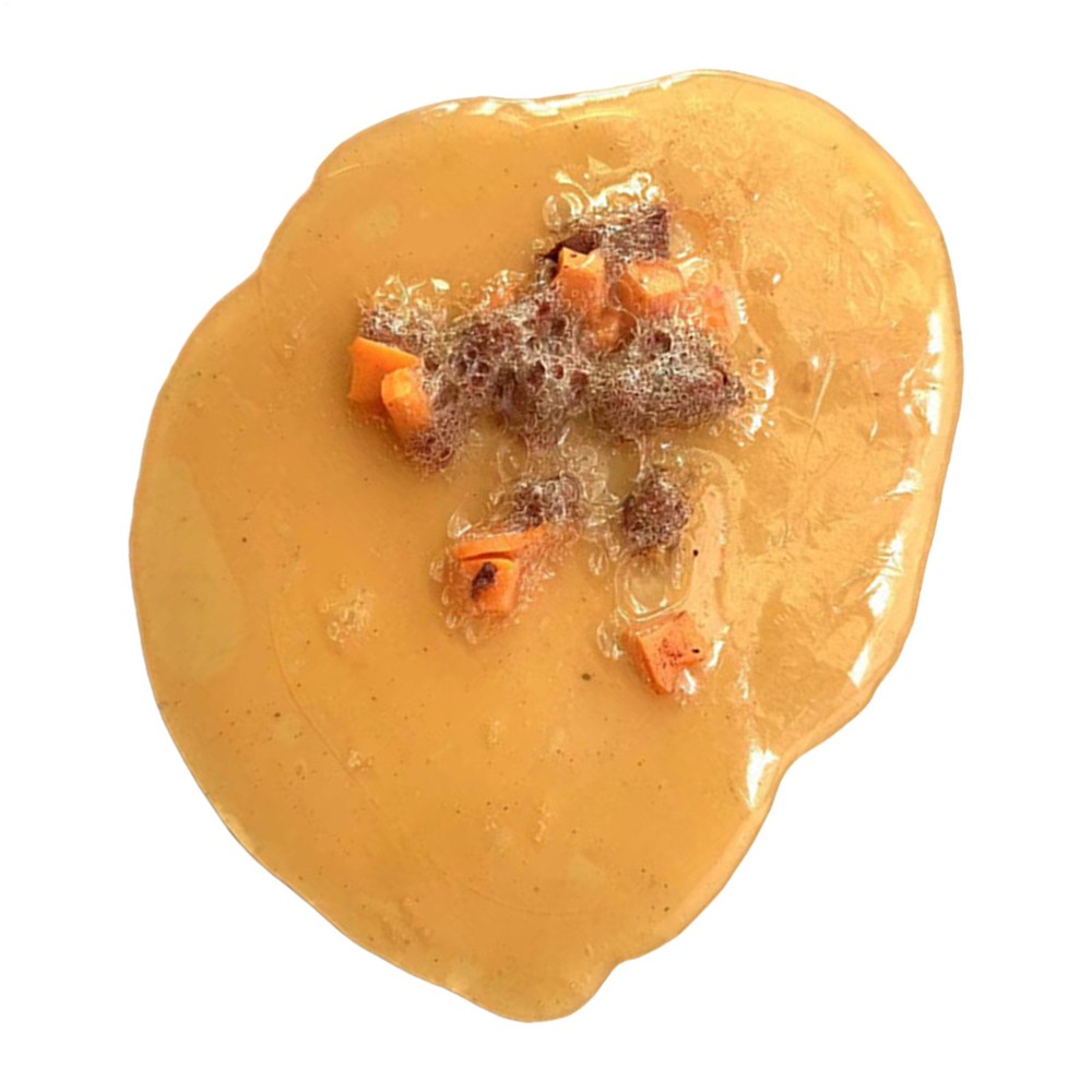 Fake Vomit Prank Gag Gift for Hilarious Office Jokes and Practical Jokes