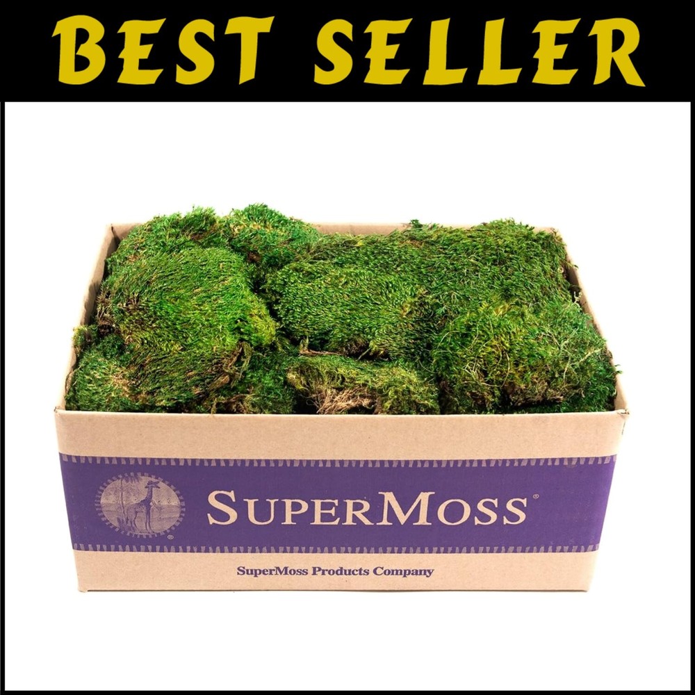 Fresh Green Mood Moss for Natural Floral Arrangements – 3 Pounds