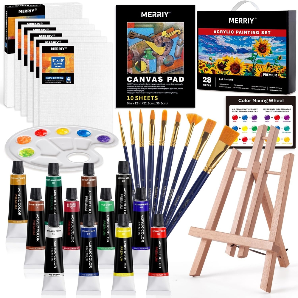 Acrylic Paint Set, Art Painting Supplies Kit with 12 Paints, 10