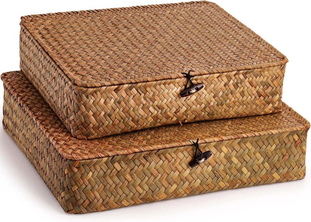 2 Pack Seagrass Baskets with Lid, Wicker Storage Baskets Flat Rattan Storage Bin