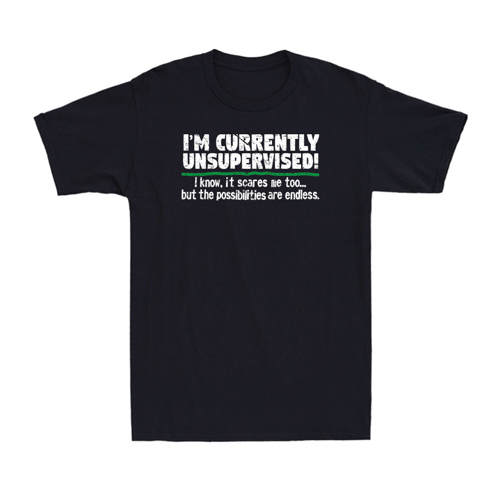 I'm Currently Unsupervised Shirt Funny Rude Offensive Joke Novelty Men's T-Shirt