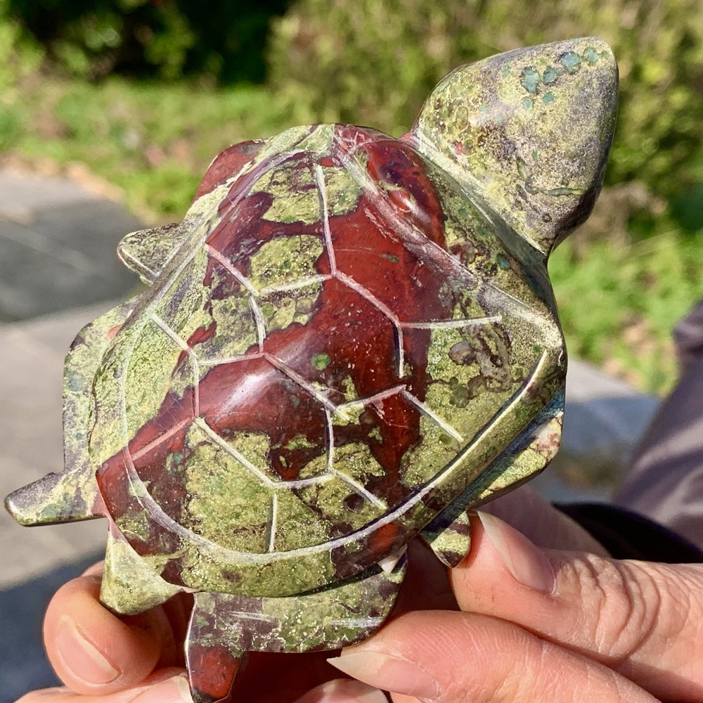 206G Natural Dragon Blood Stone Quartz Carving Turtle Spirit Healing
