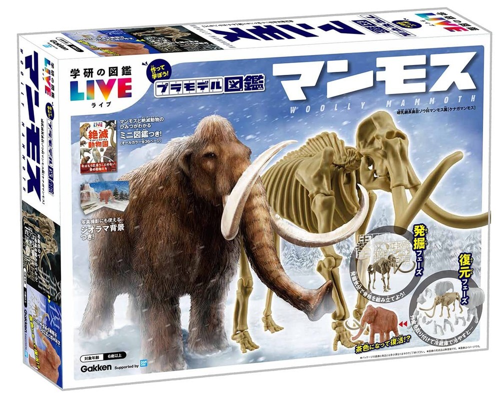 Mammoth Plastic Model Encyclopedia Imported From Japan Hobby