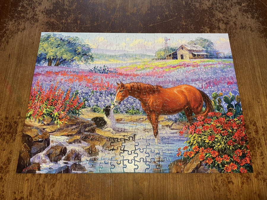 TOUCH OF FRIENDSHIP ANIMALS Buffalo Games 300 Large Pc Puzzle Bonus Poster Compl
