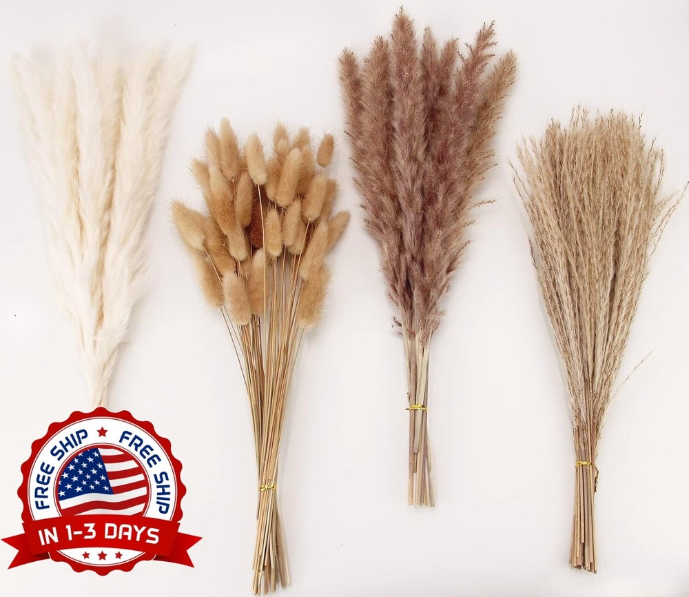 100 PCS De Decoración De Hierba De Pampa De Blanca,Marrón Colas De Conejo NUEVO.