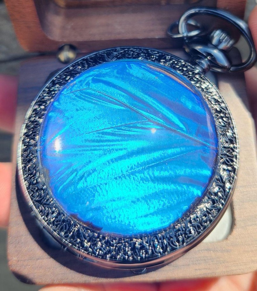 Retinol Morpho Butterfly Engraved Vintage Pocket Watch