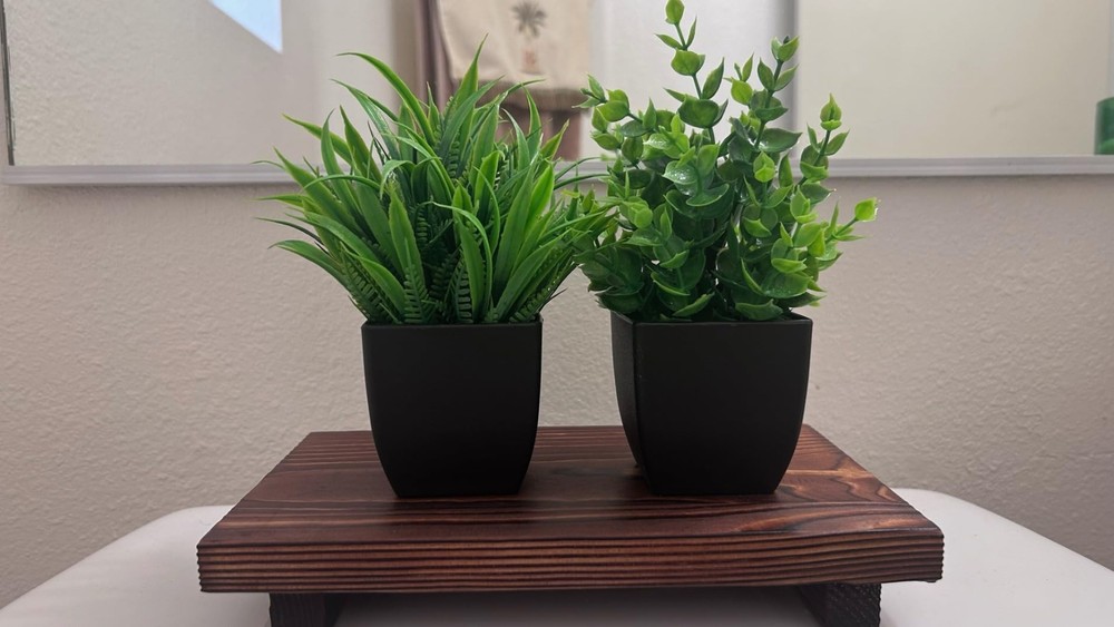2 Pack Artificial Potted Plants for Home and Office Decor