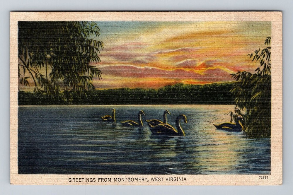 Montgomery WV-West Virginia, Scenic Greetings, Swans on Lake Vintage Postcard
