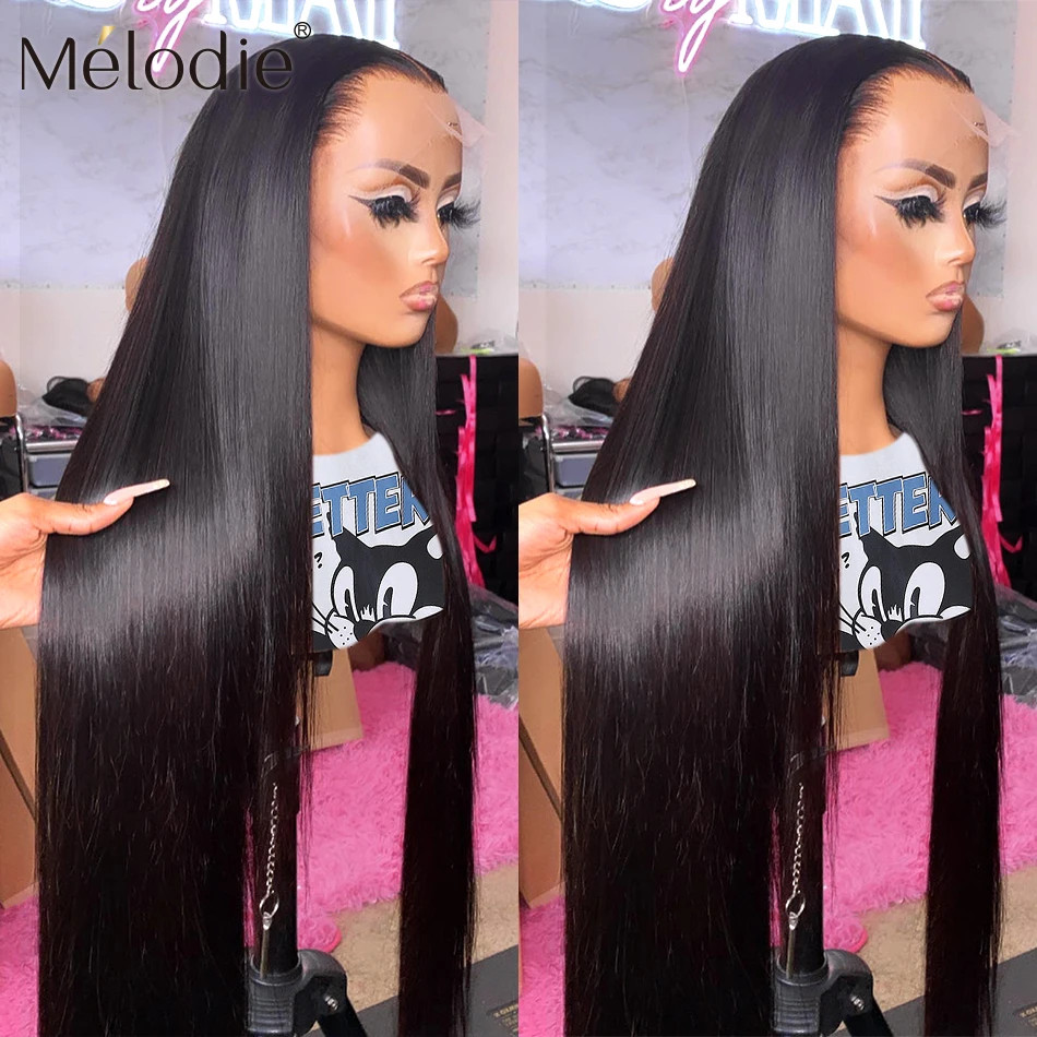 13X6 HD Lace Front Brazilian Straight Human Hair Wig Pre Plucked