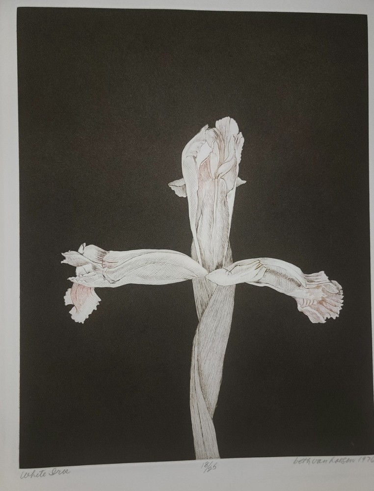 Beth Van Hoesen-Aquatint Etching-White Iris-1976