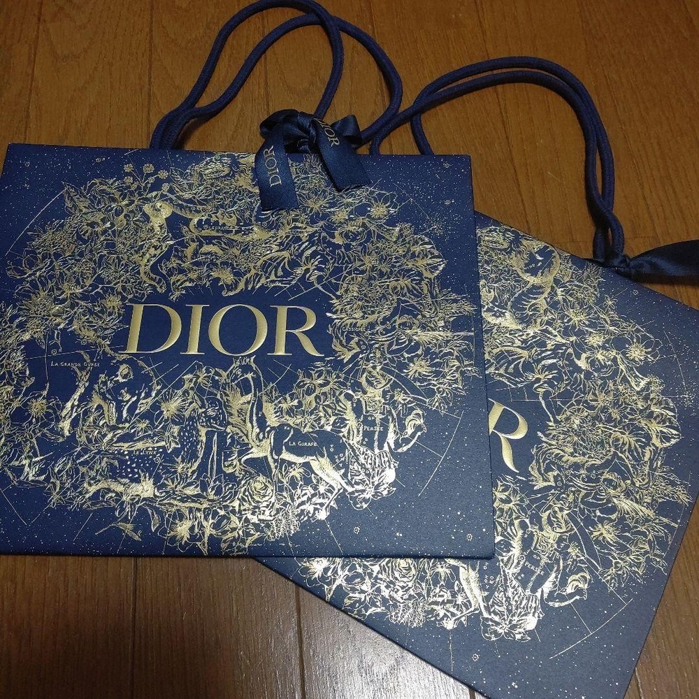 Dior Navy Paper Bag Set of 2 23x27x11.5cm Luxury Shopping Bags