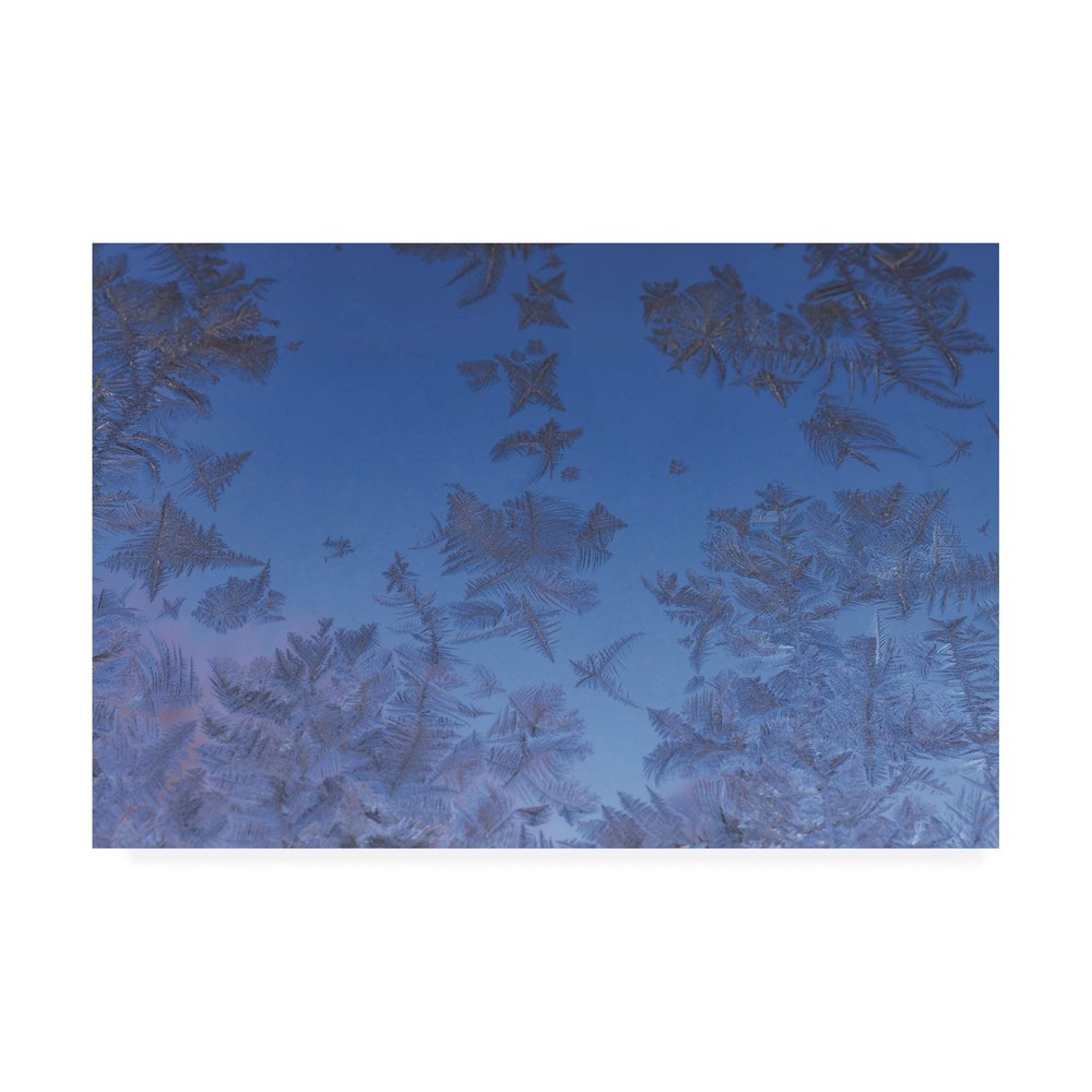 , 16x24 Ice Crystals Against a Blue Sky by Kurt Shaffer Photographs