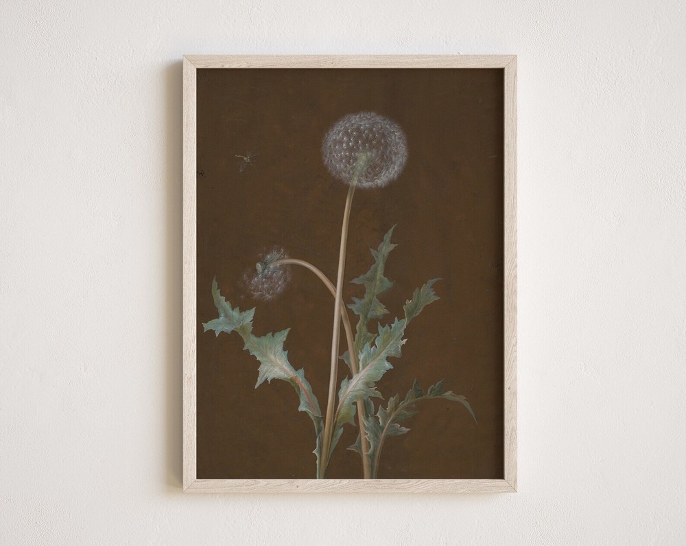 Vintage Flower Painting Antique Dandelion Flower Floral Print Dark Botanical