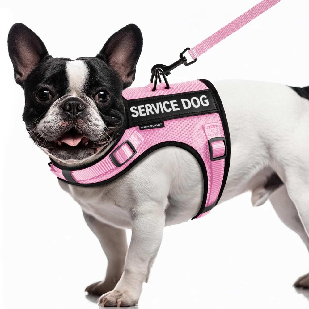 Service Dog Vest for Small Dogs - Air Mesh Breathble Emotional Support Animal...